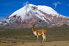 GEOGRAFÍA DEL ECUADOR