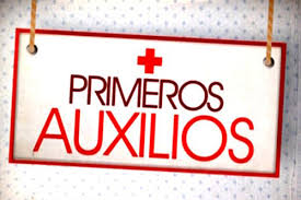 PRIMEROS AUXILIOS MS